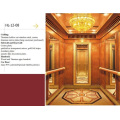 2015 New Product Shandong Fujizy Villa Elevator of Japan Technology, Home Elevator Price, Elevator Manufacturer (BUKS3000)